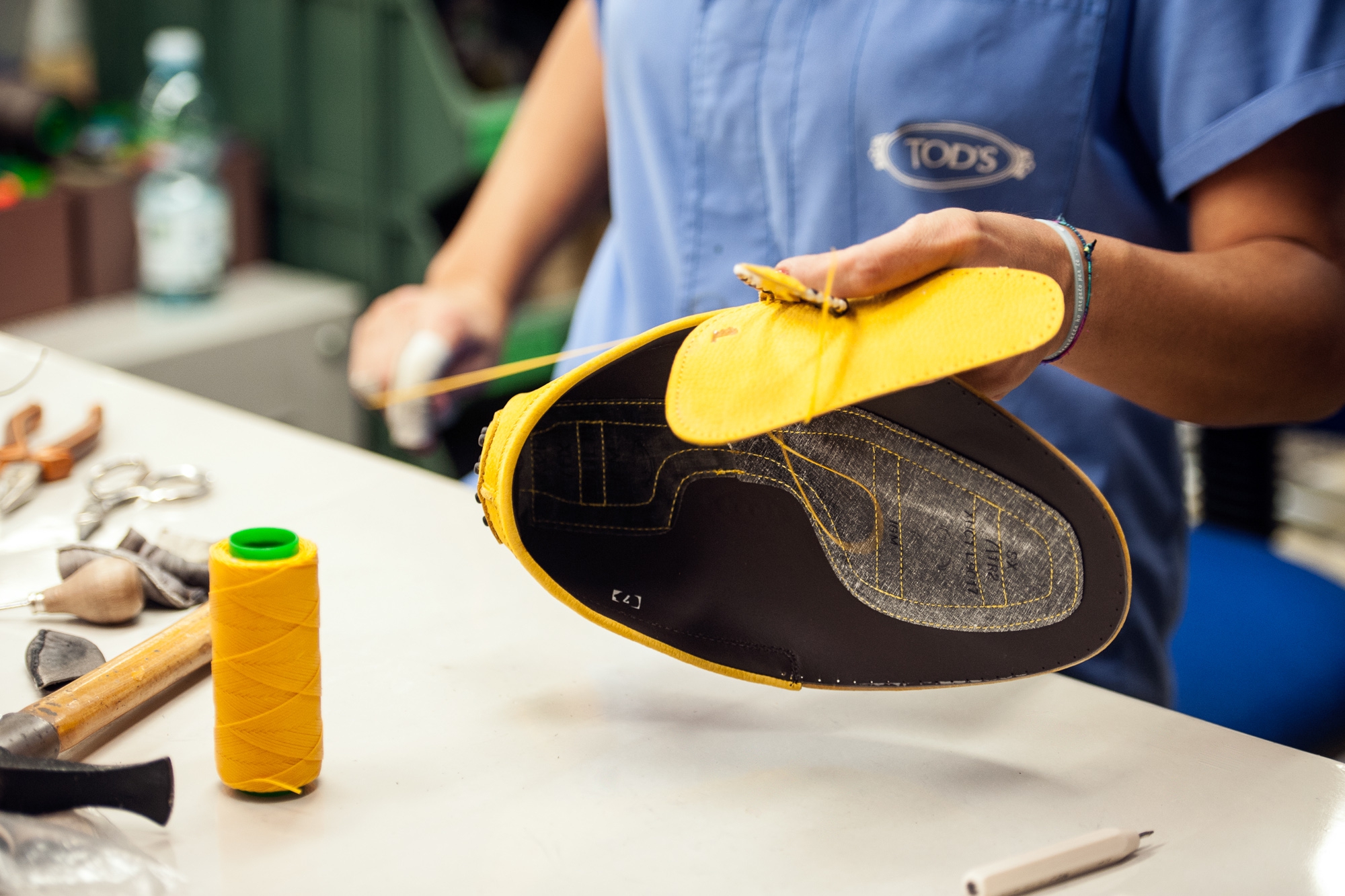 Tod's - Company Visit What is the difference between Alligator and Crocodile hide?